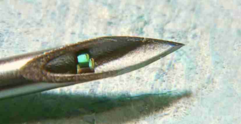 来日の米紙記者、Uber配達員にもらった折り紙に感激「初めて来た国に歓迎された気分」