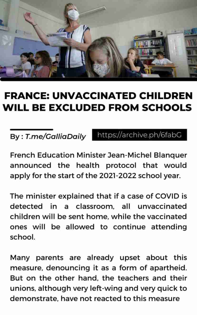 来日の米紙記者、Uber配達員にもらった折り紙に感激「初めて来た国に歓迎された気分」