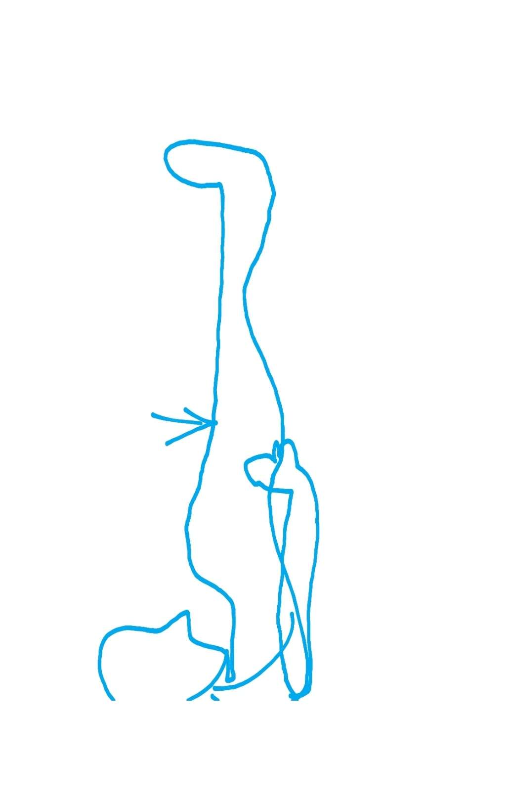 生理の時の下痢がつらい
