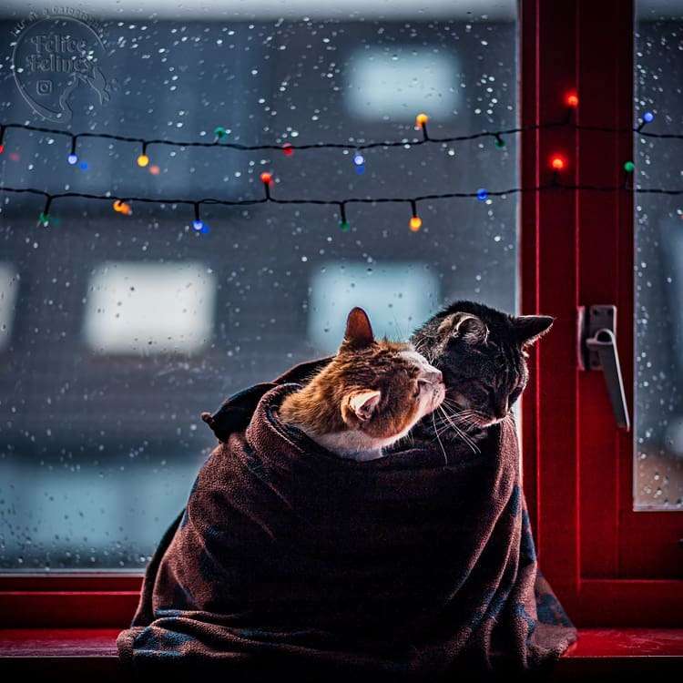 雨の日の休日