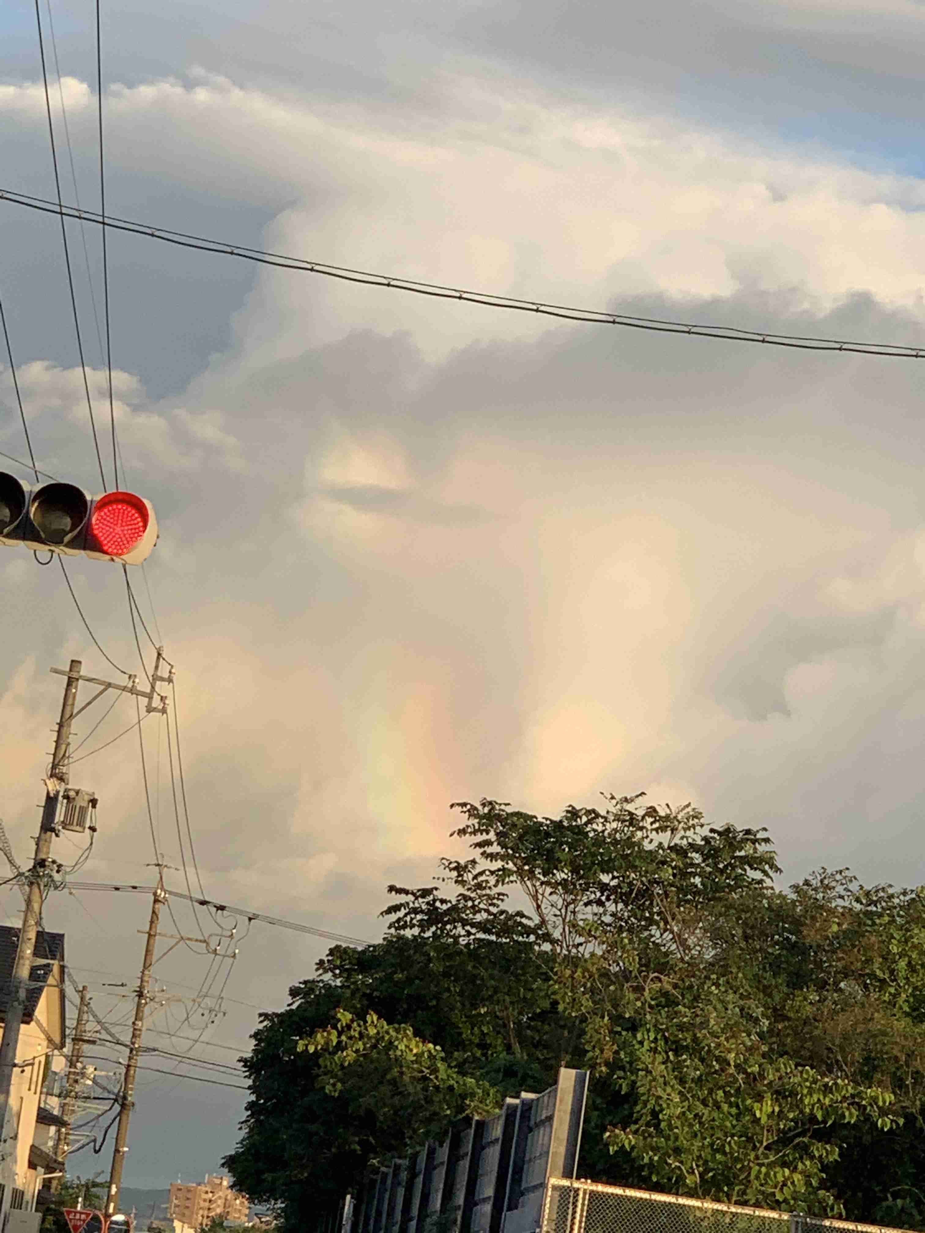 虹の写真が見たいです