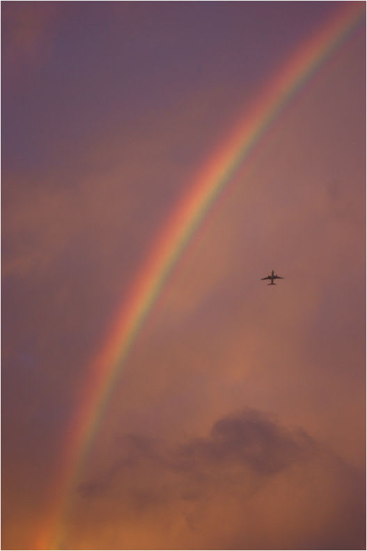 虹の写真が見たいです