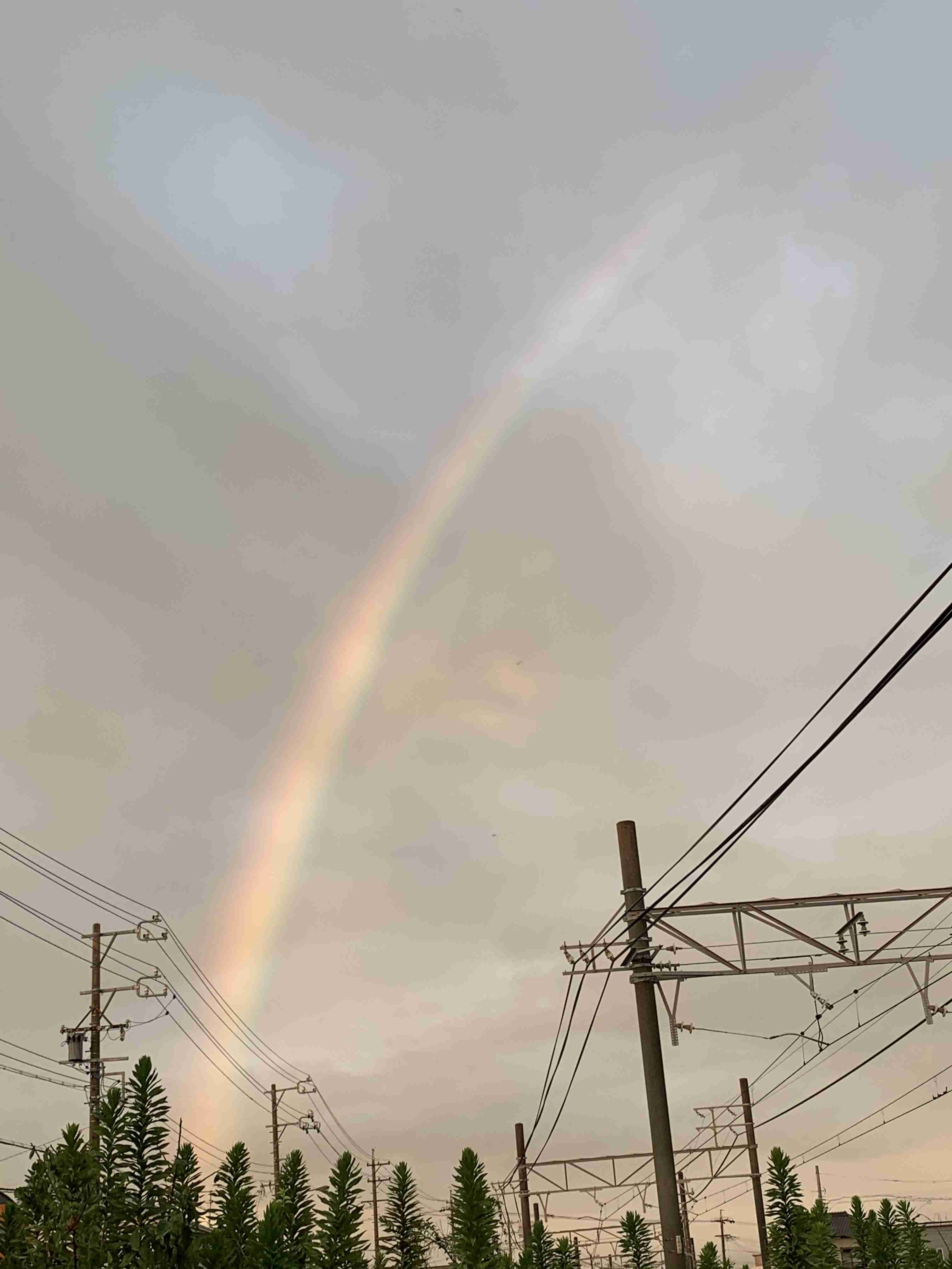 虹の写真が見たいです