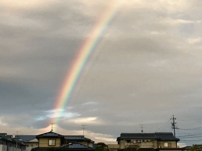 虹の写真が見たいです