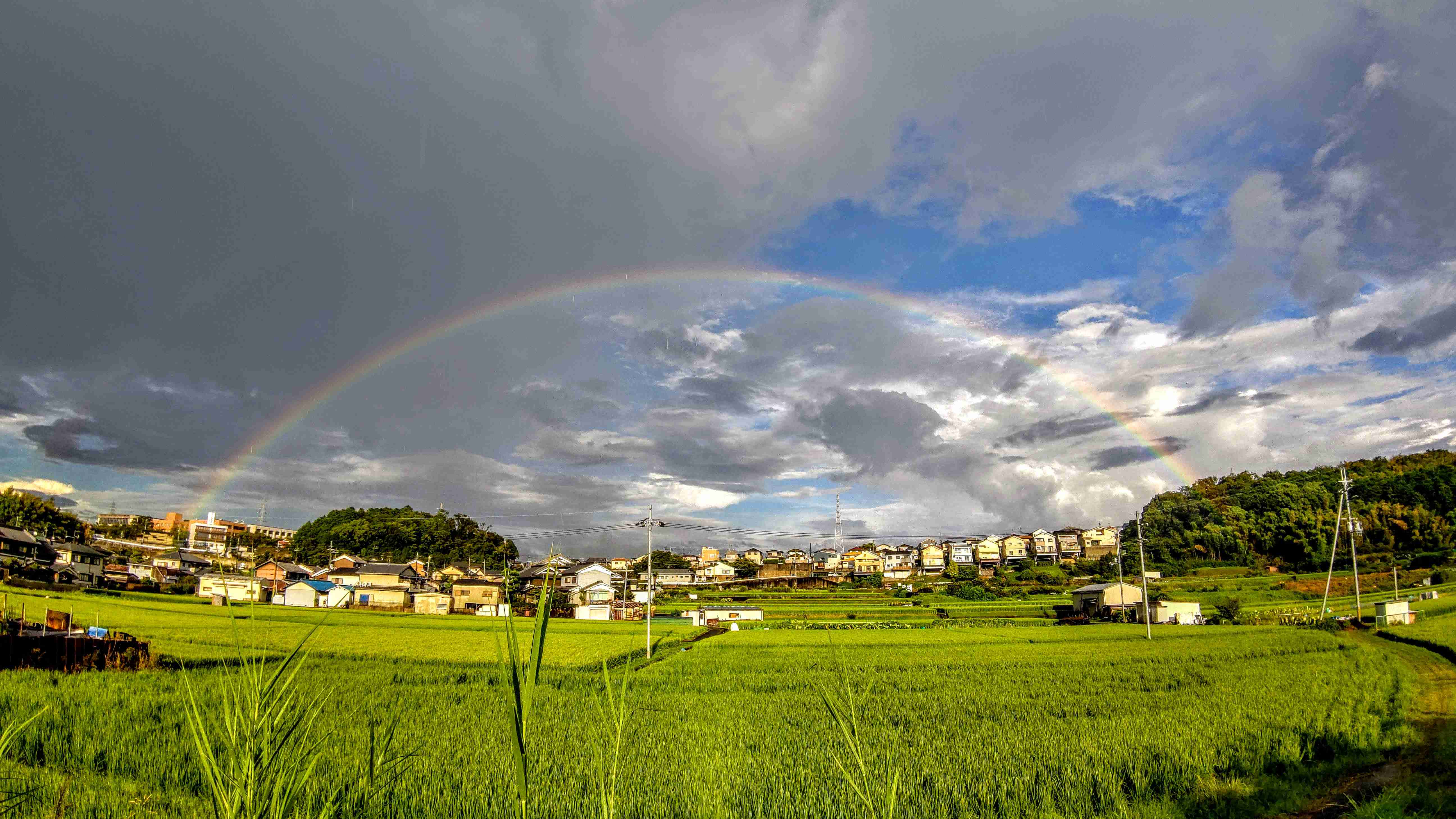 虹の写真が見たいです