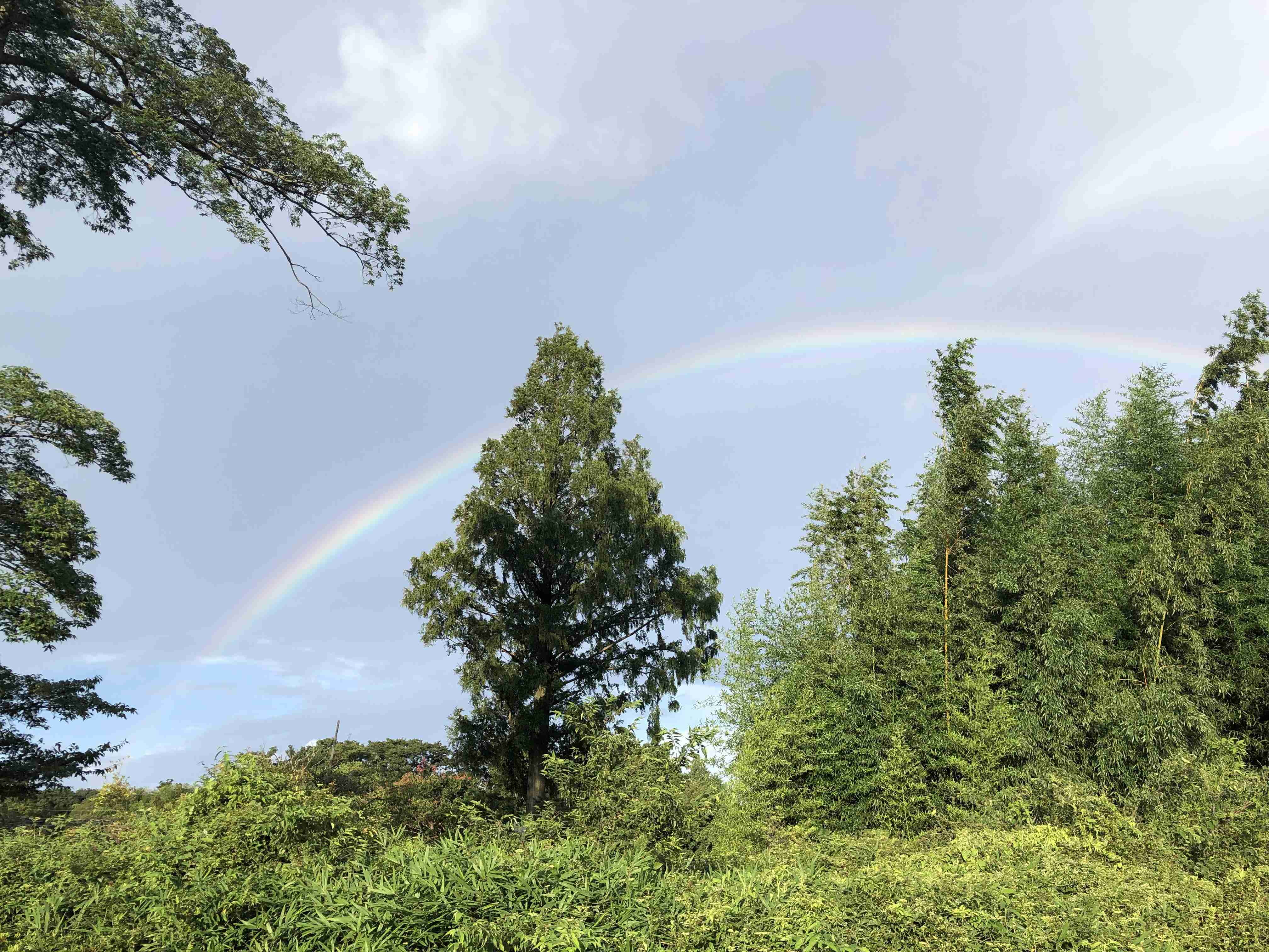 虹の写真が見たいです