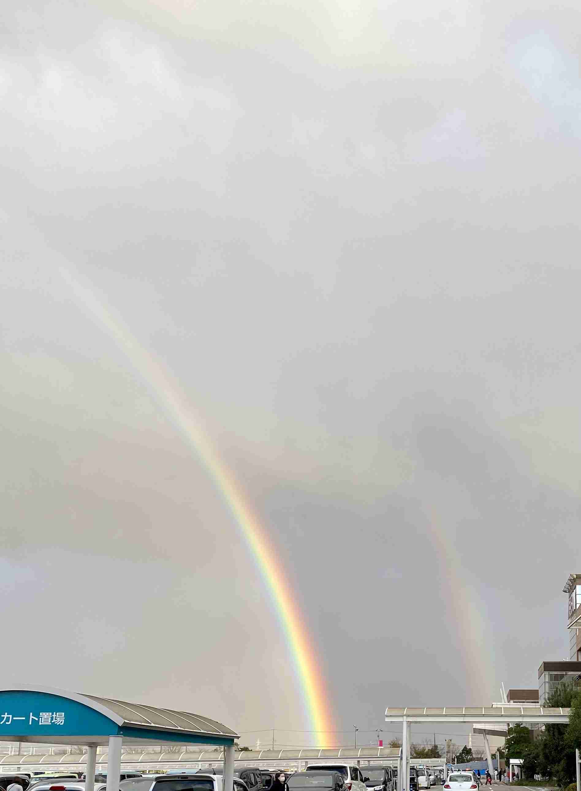 虹の写真が見たいです