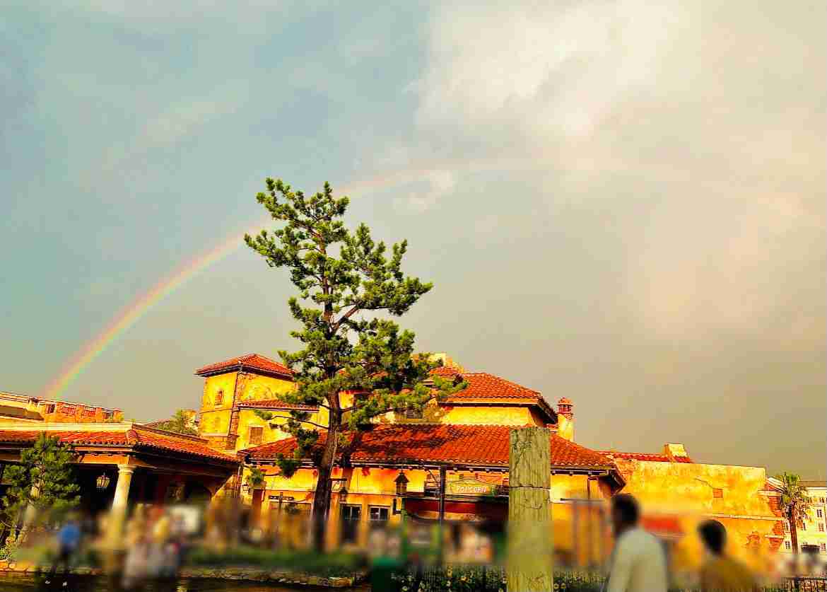 虹の写真が見たいです