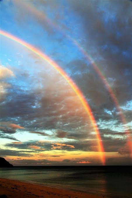 虹の写真が見たいです