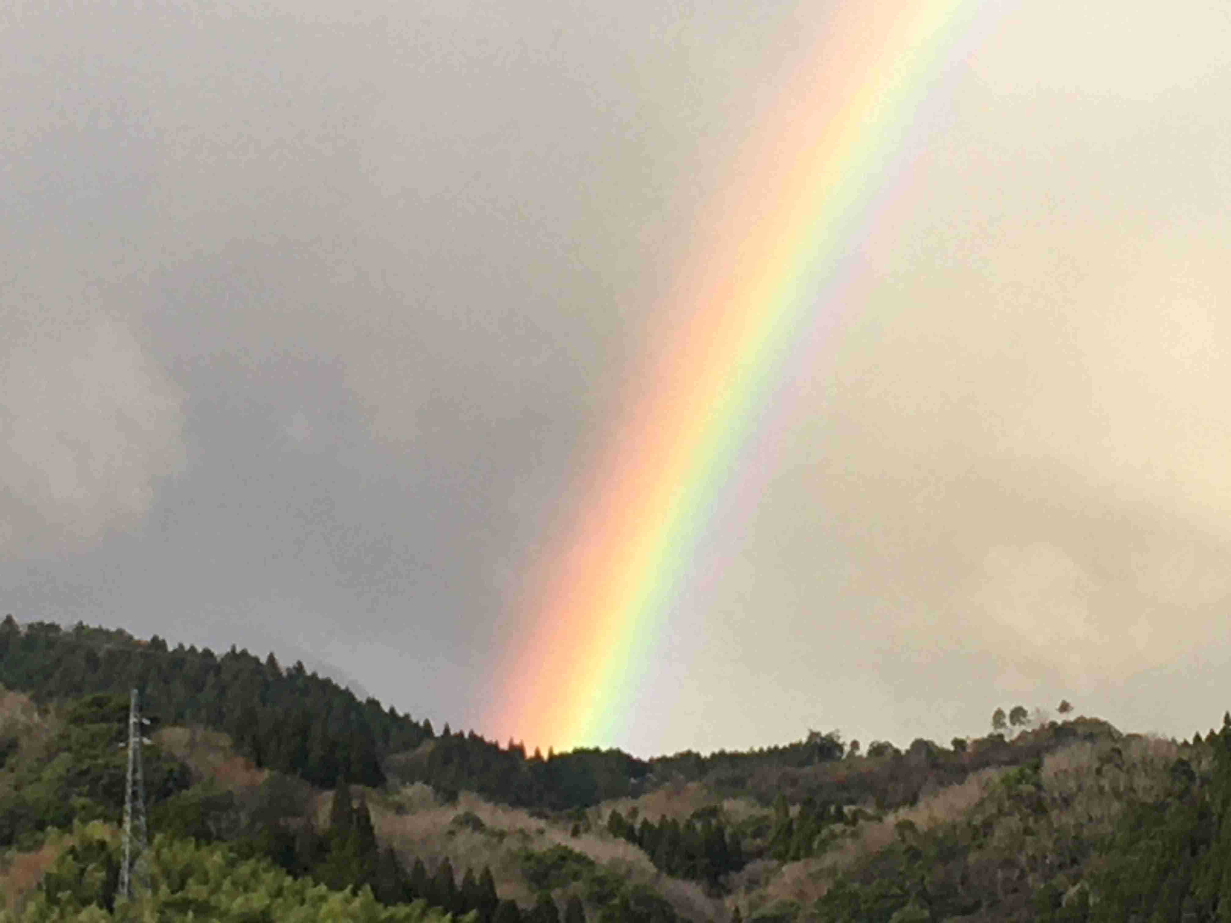 虹の写真が見たいです