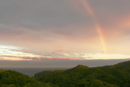 虹の写真が見たいです