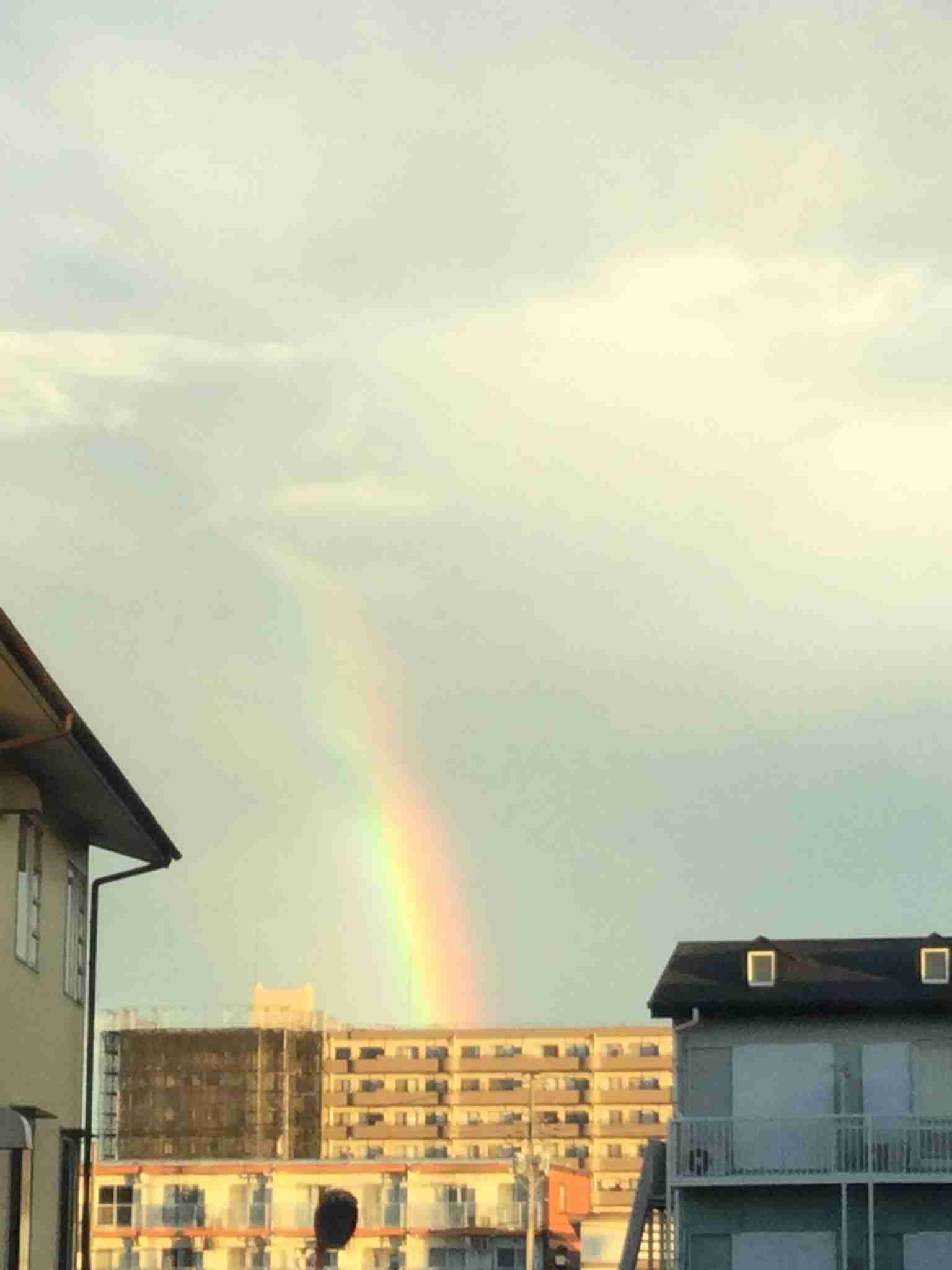 虹の写真が見たいです