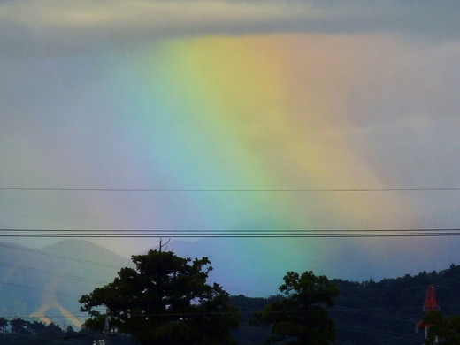 虹の写真が見たいです