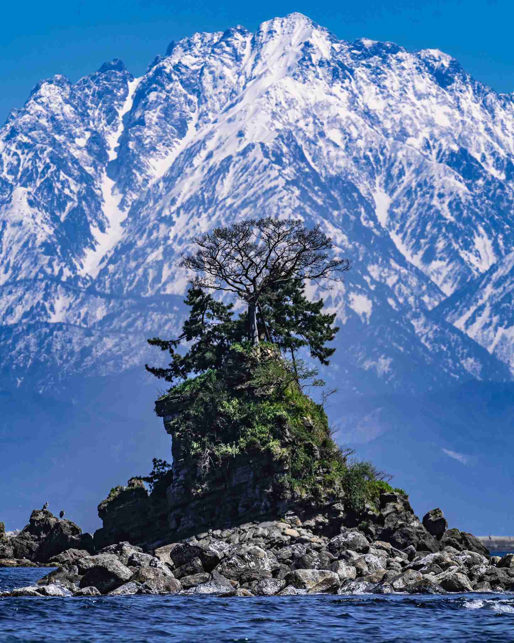 今までに見た日本の感動した場所・モノ