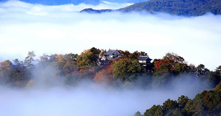 今までに見た日本の感動した場所・モノ