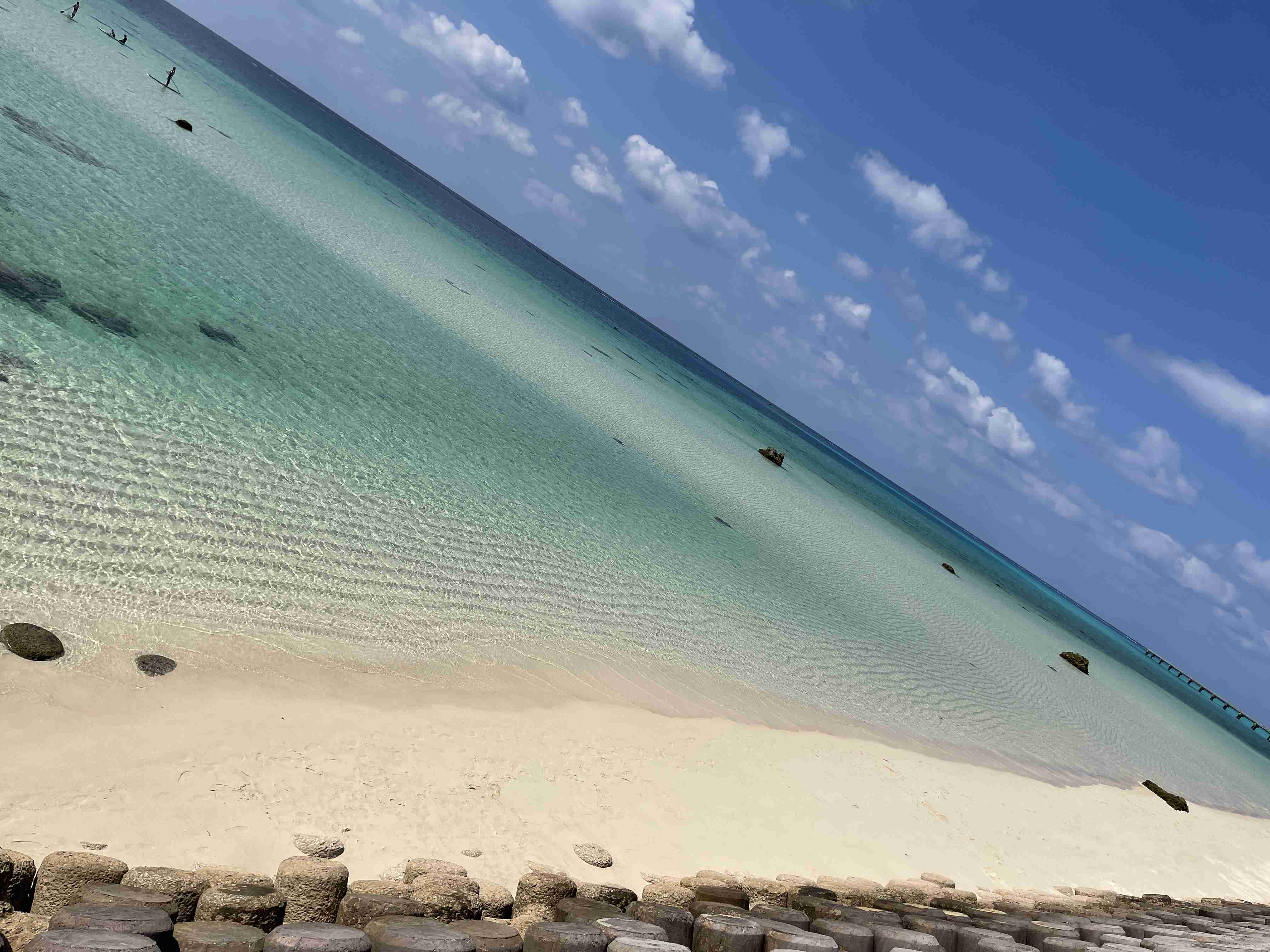 今までに見た日本の感動した場所・モノ