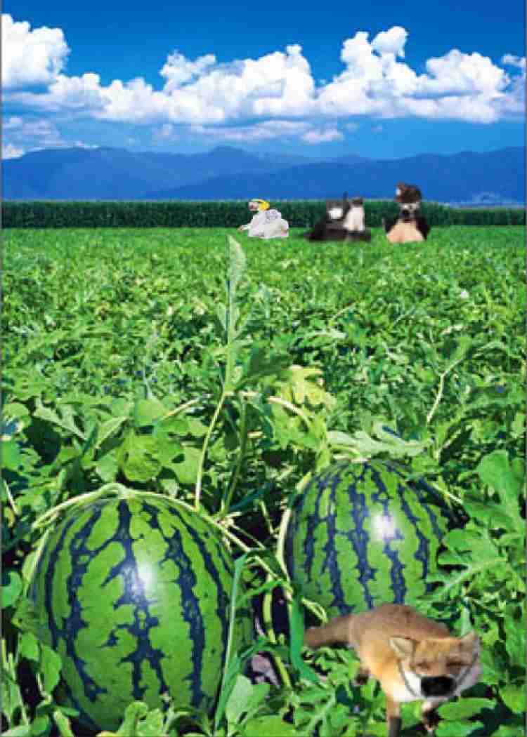 新型コロナ 東京都で新たに4227人の感染確認