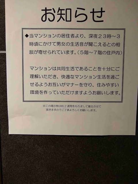 謎の音が気になる！！！