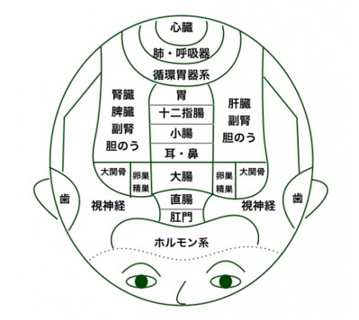 アラフォーの髪事情【白髪、薄毛等】