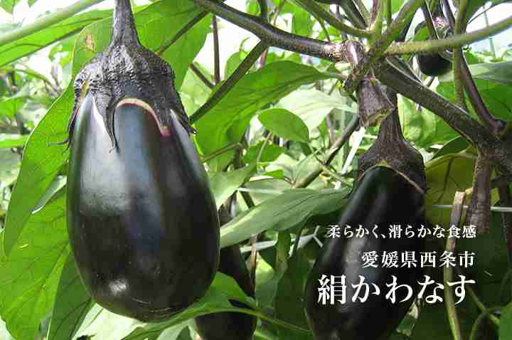 探しているものを言えば誰かがオススメを紹介してくれるトピ