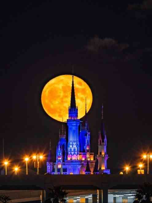 月にまつわる不思議な話。