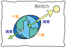 月にまつわる不思議な話。