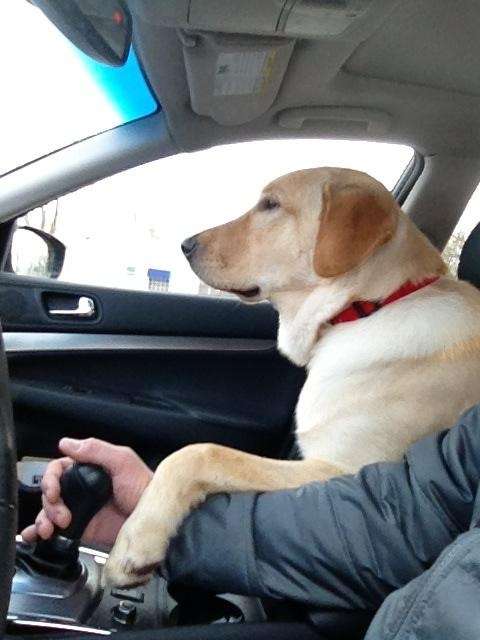 コロナ禍で感染リスクを抑えてできる楽しみは？