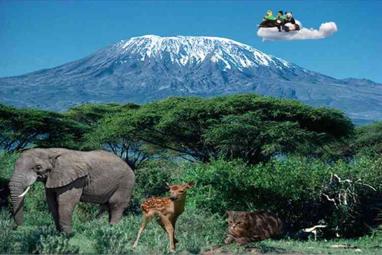 新型コロナ 東京都で新たに4377人の感染確認