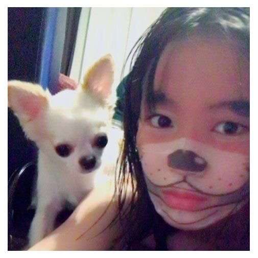 芸能人の仲良し画像が見たい！