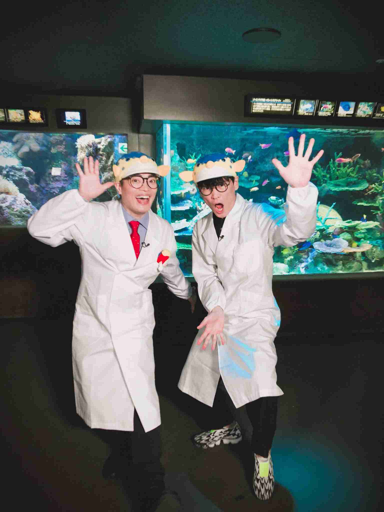 芸能人の仲良し画像が見たい！