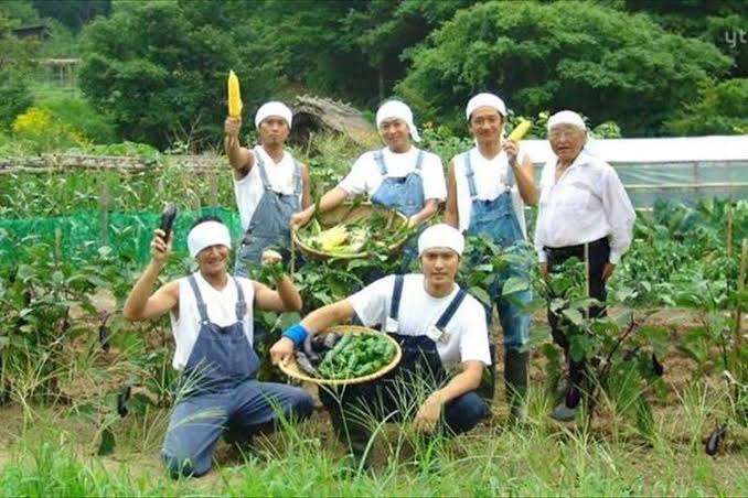 農業のバイトした事ある人