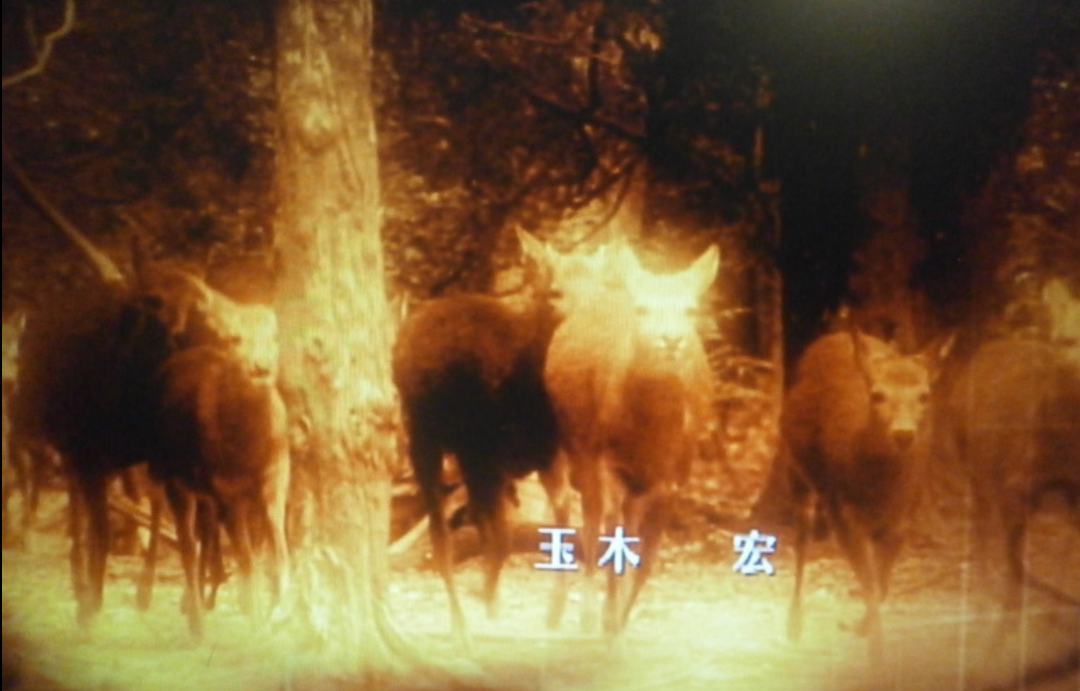 【映画・ドラマ】見事に合ってた主題歌。