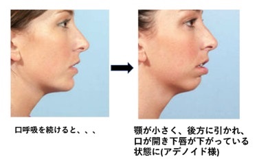 コロナウイルスに疲れた人が立ち寄るトピPart19