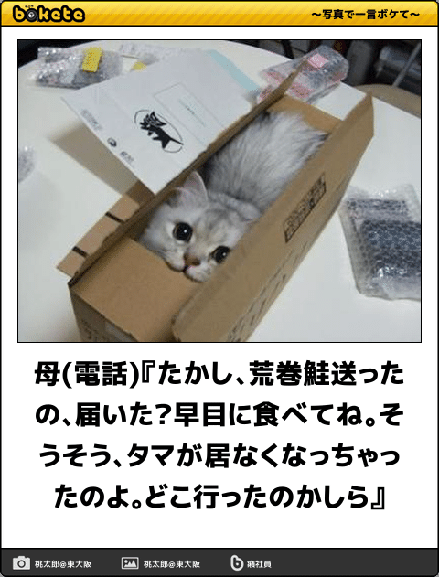 【一人暮らしの人】実家から送られてきて嬉しかった物