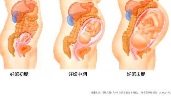 妊娠25週以降でリスク上昇　コロナ重症化、30歳以上も―厚労省研究班