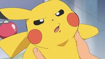 ポケモンと暮らすならどの子にする？