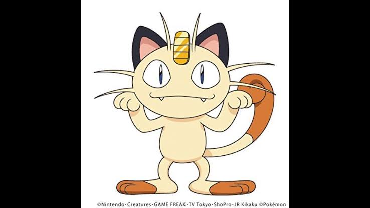 ポケモンと暮らすならどの子にする？