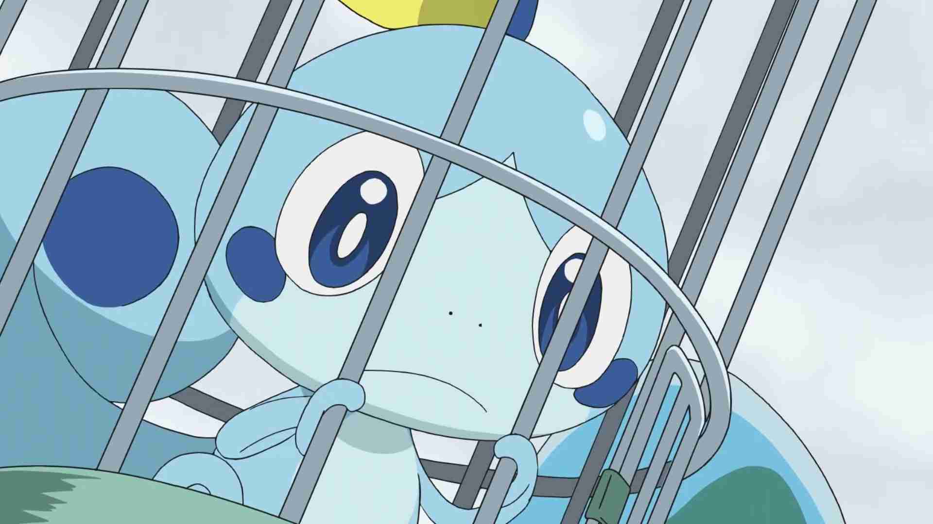 ポケモンと暮らすならどの子にする？