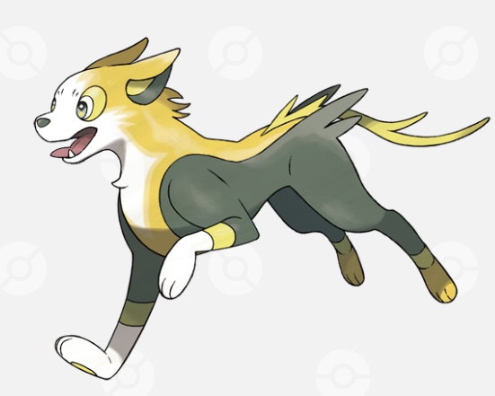 ポケモンと暮らすならどの子にする？