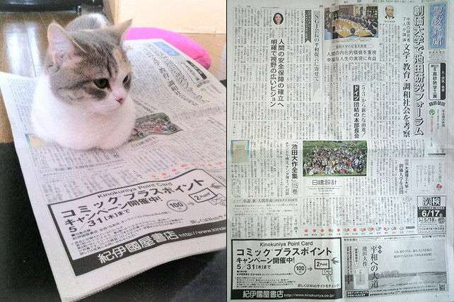 宗教勧誘をされた事はありますか？