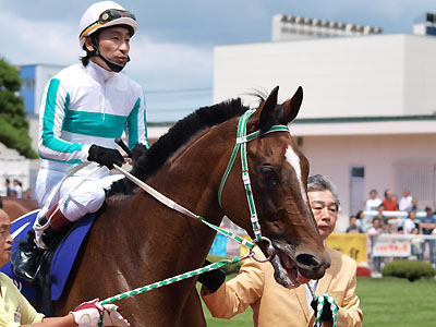 乗馬体験、ホーストレッキングが趣味