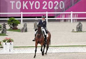乗馬体験、ホーストレッキングが趣味