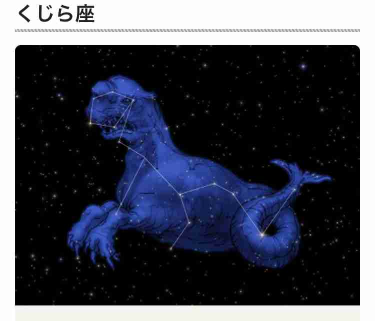 4本足の新種クジラの化石、エジプトで発見