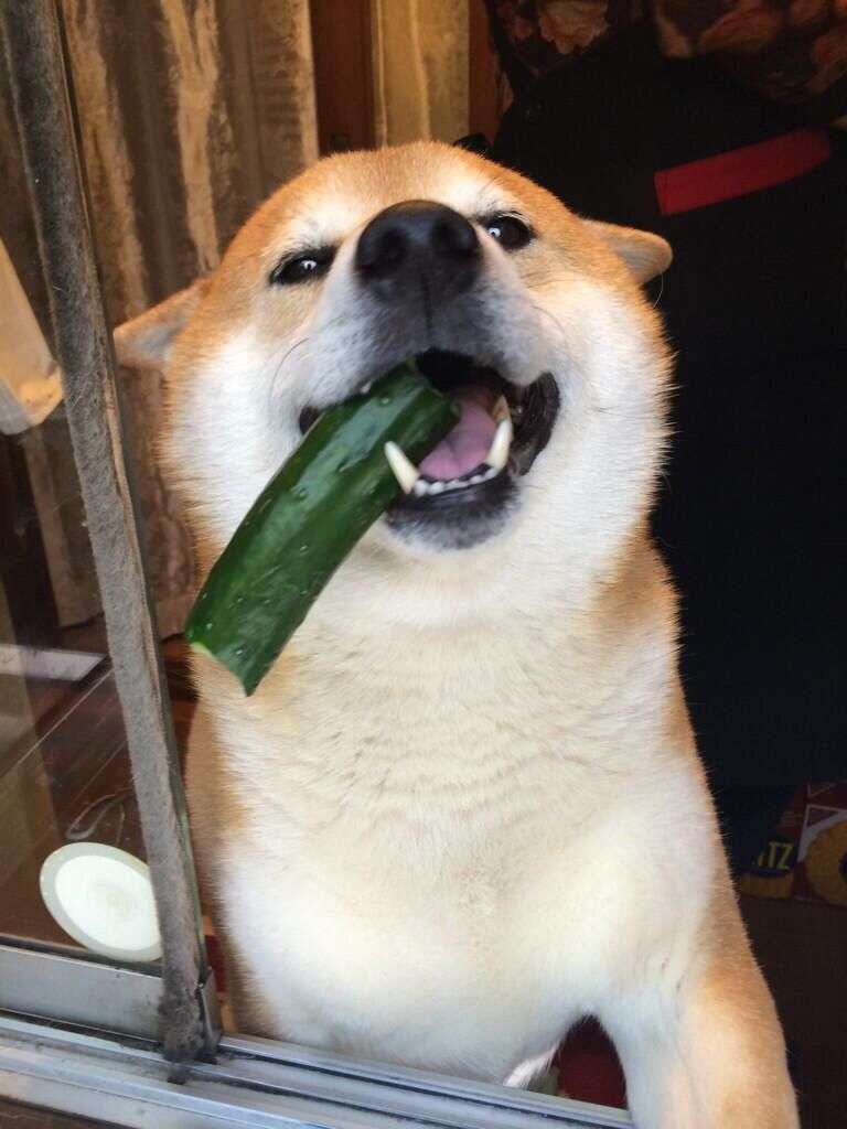 この野菜はこの食べ方が好き！
