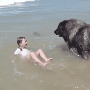 優しい動物たち