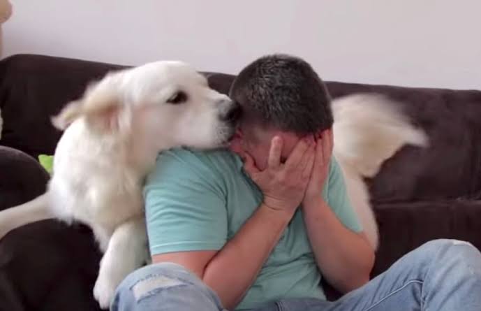 優しい動物たち