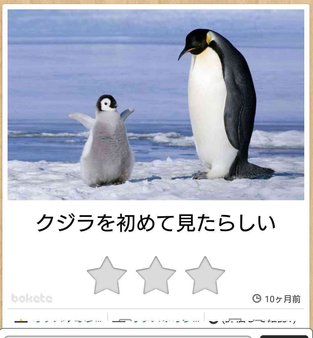 優しい動物たち