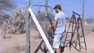 優しい動物たち