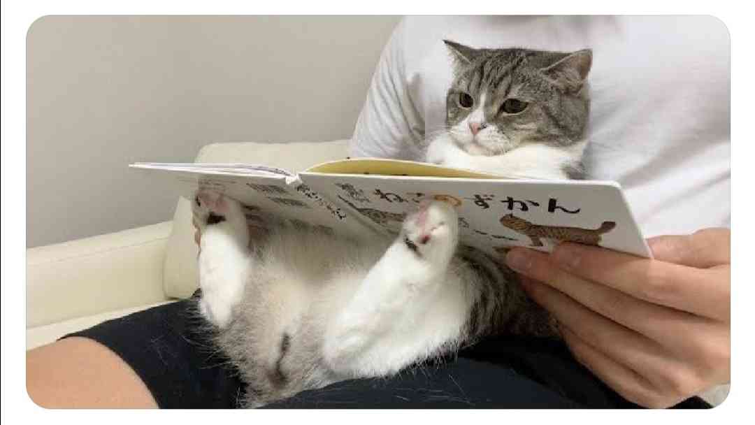 優しい動物たち