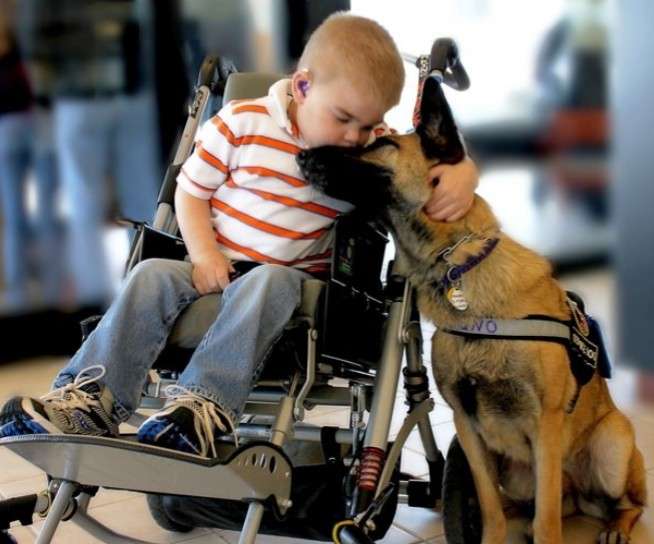 優しい動物たち